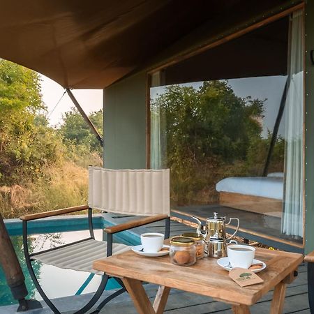 Hotel Trees N Tigers, Tadoba à Kolāra Extérieur photo
