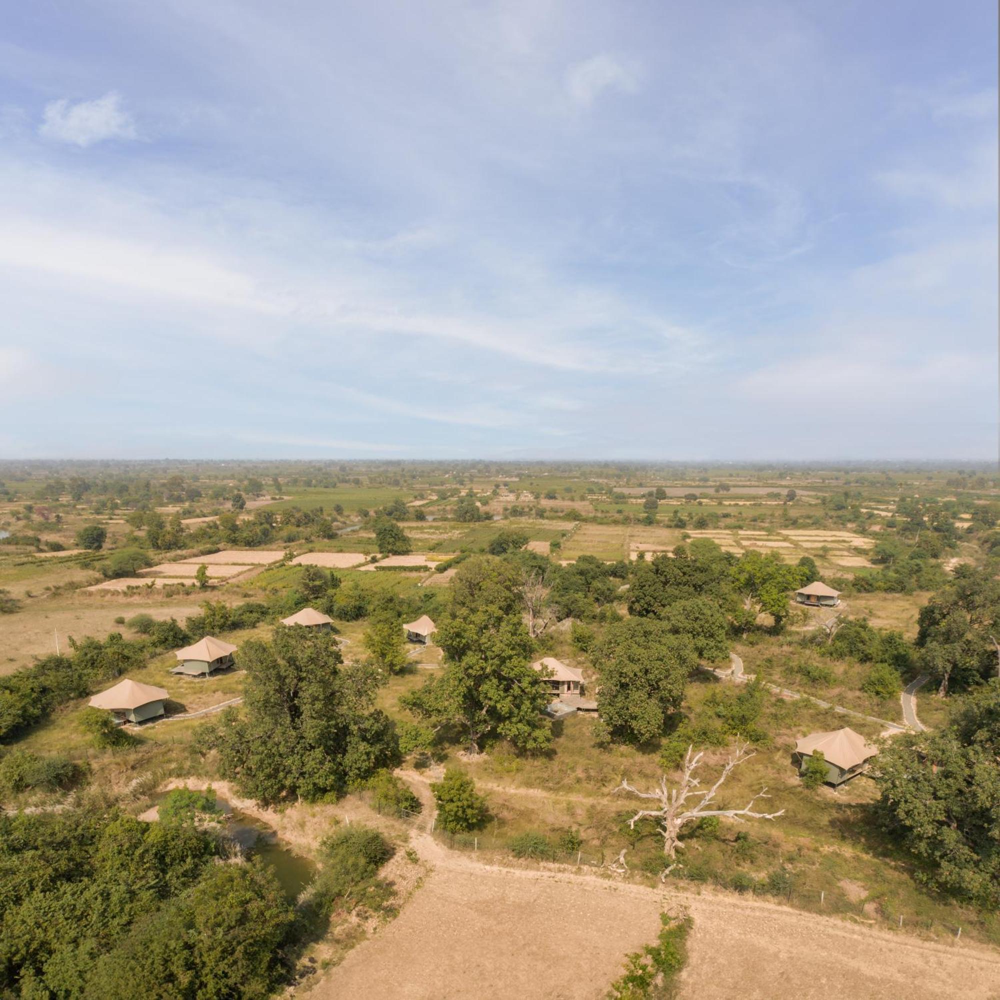 Hotel Trees N Tigers, Tadoba à Kolāra Extérieur photo