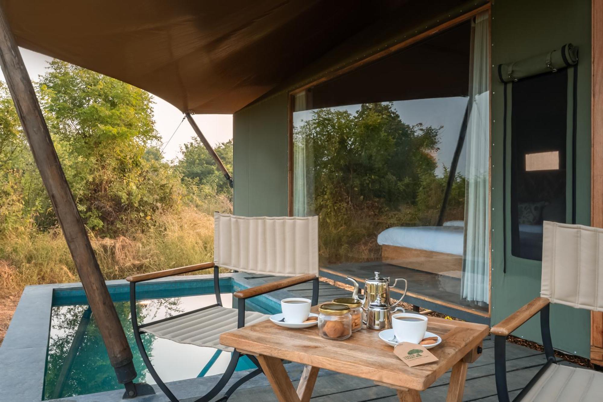 Hotel Trees N Tigers, Tadoba à Kolāra Extérieur photo